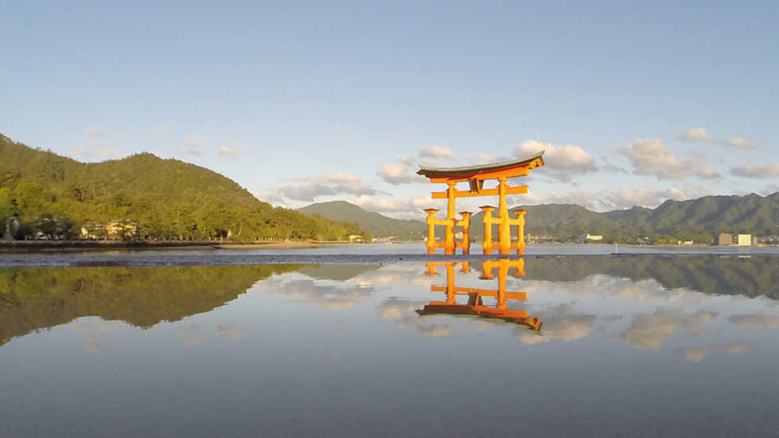 El documental - Pacífico: Viento entre el bambú - ver ahora