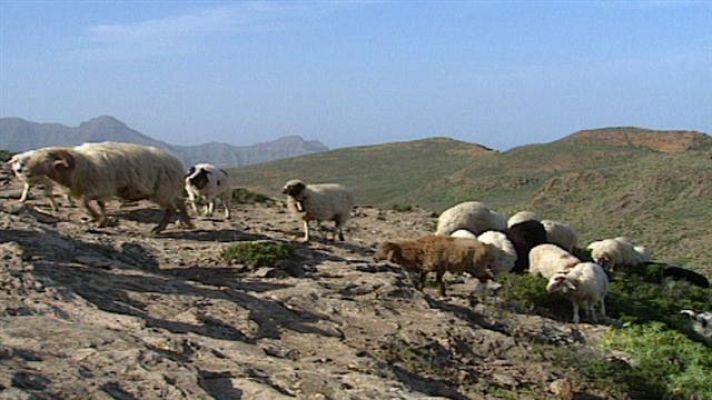 Senderos isleños - Trashumancia