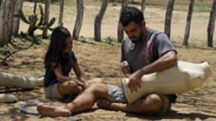 Días de cine - 'Boi neon'