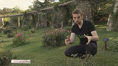 Tinc una idea - Bioo, una empresa que carrega un mòbil a partir d'una planta i Eloi Palà, president de l'AIJEC