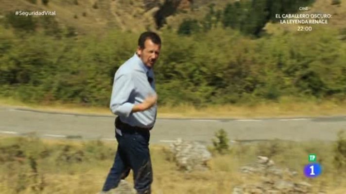 Seguridad vital 5.0 - 'Seguridad Vital' - 'Radar' - Cinturón de seguridad