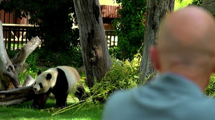 Desafía tu mente - Antonio Lobato visita el zoo de Madrid