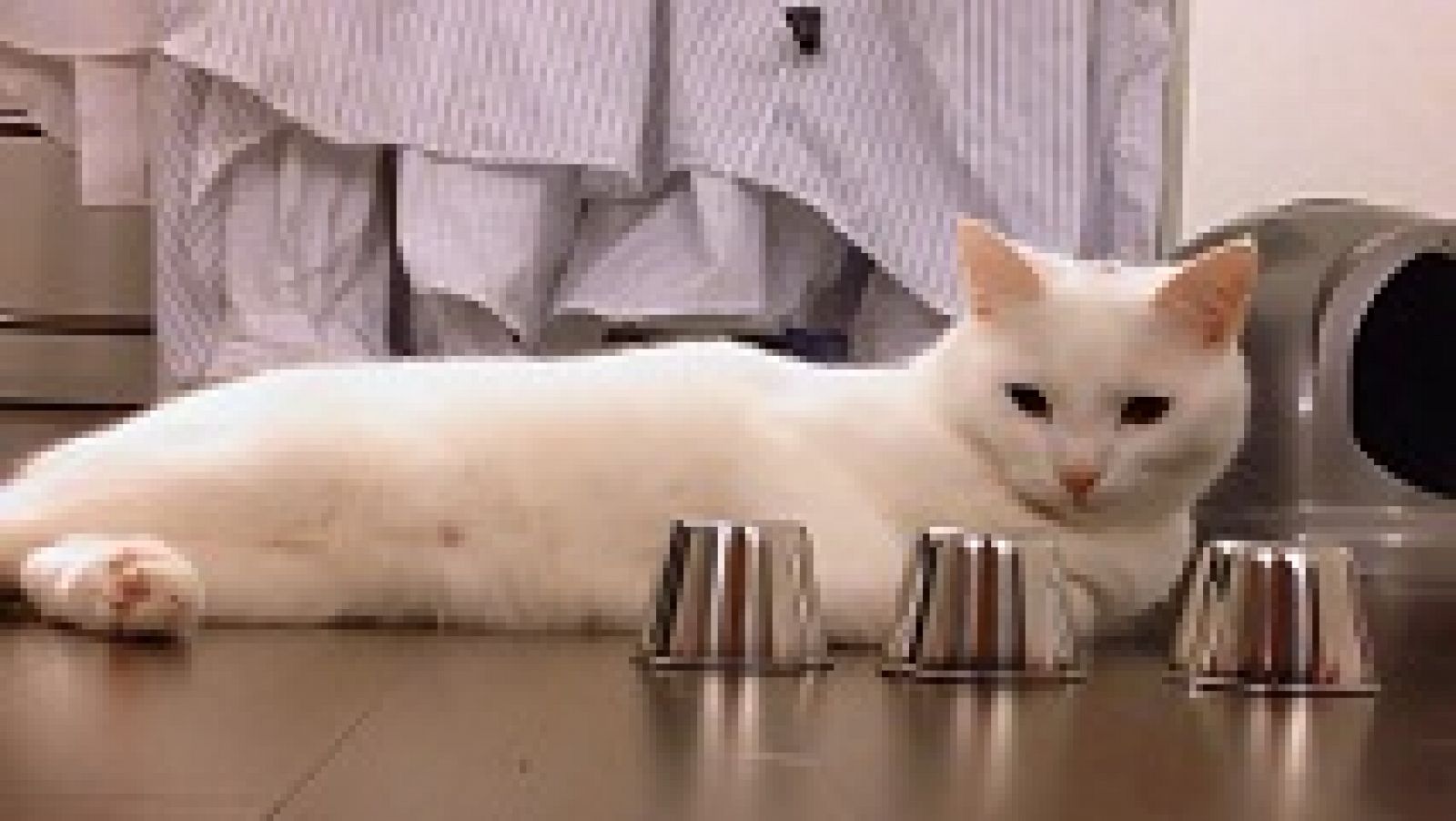 Desafía tu mente - ¿En qué vaso se esconde la bola?