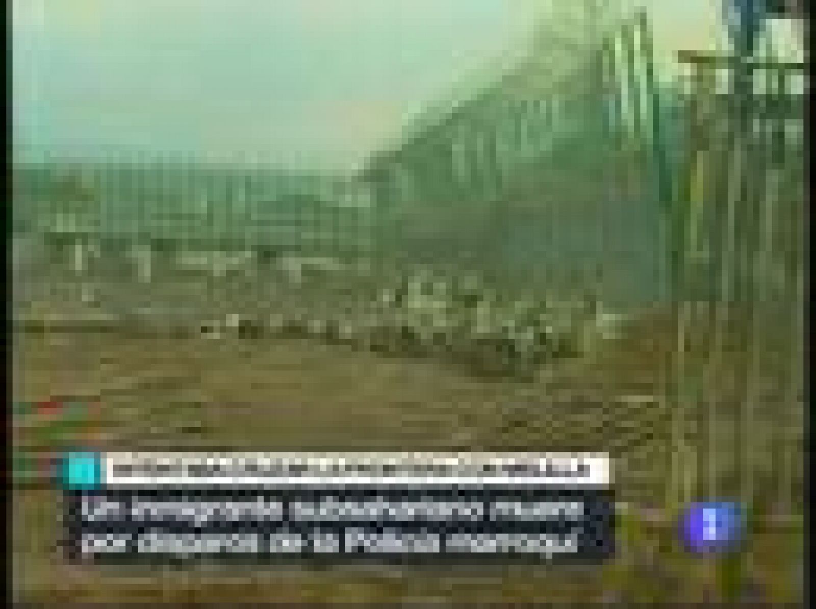 Sin programa: Un inmigrante muerto en Melilla | RTVE Play