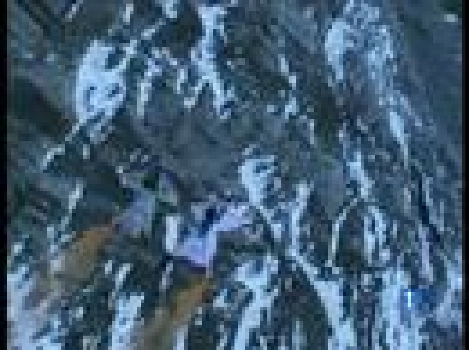 El hombre pájaro | Ver