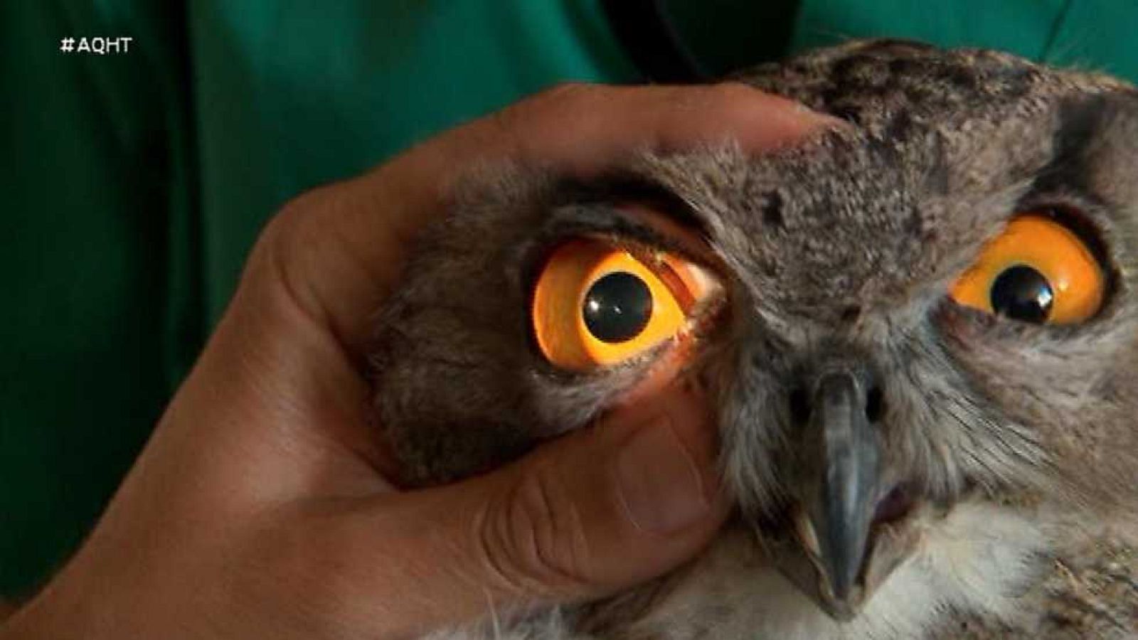 Aquí hay trabajo - 22/09/16 - ver ahora