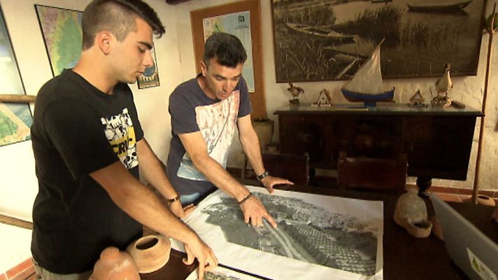 El escarabajo verde - Mar, viento y arena