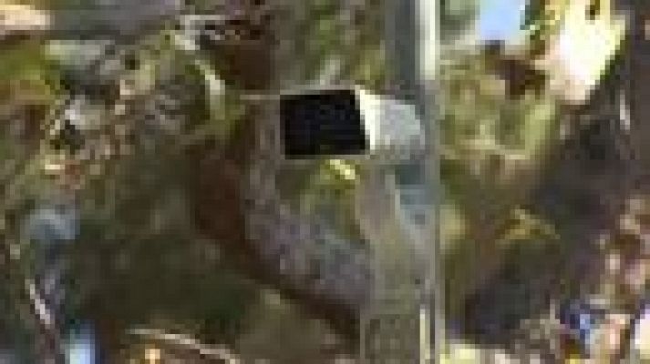 L'Informatiu - L'ajuntament d'Alella incrementa la seguretat al municipi amb lectors de matrícules a tots els barris