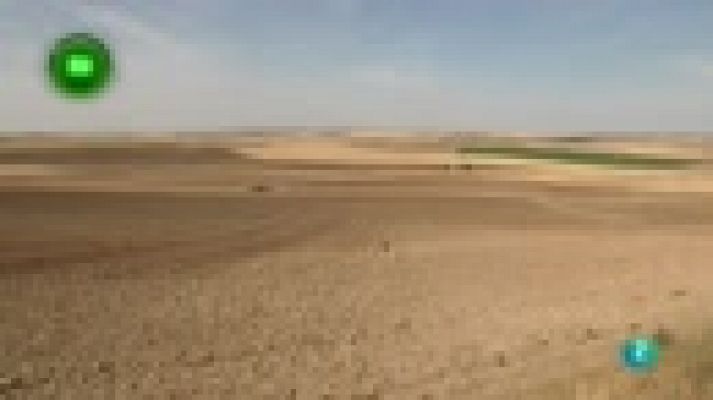 Agrosfera En Clave Rural - Nava del Rey y Alaejos
