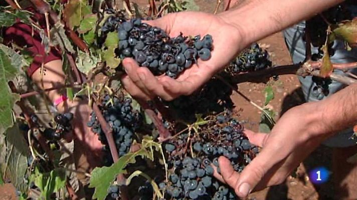 L'informatiu - Comunitat Valenciana - L'Informatiu - Comunitat Valenciana - 26/09/16