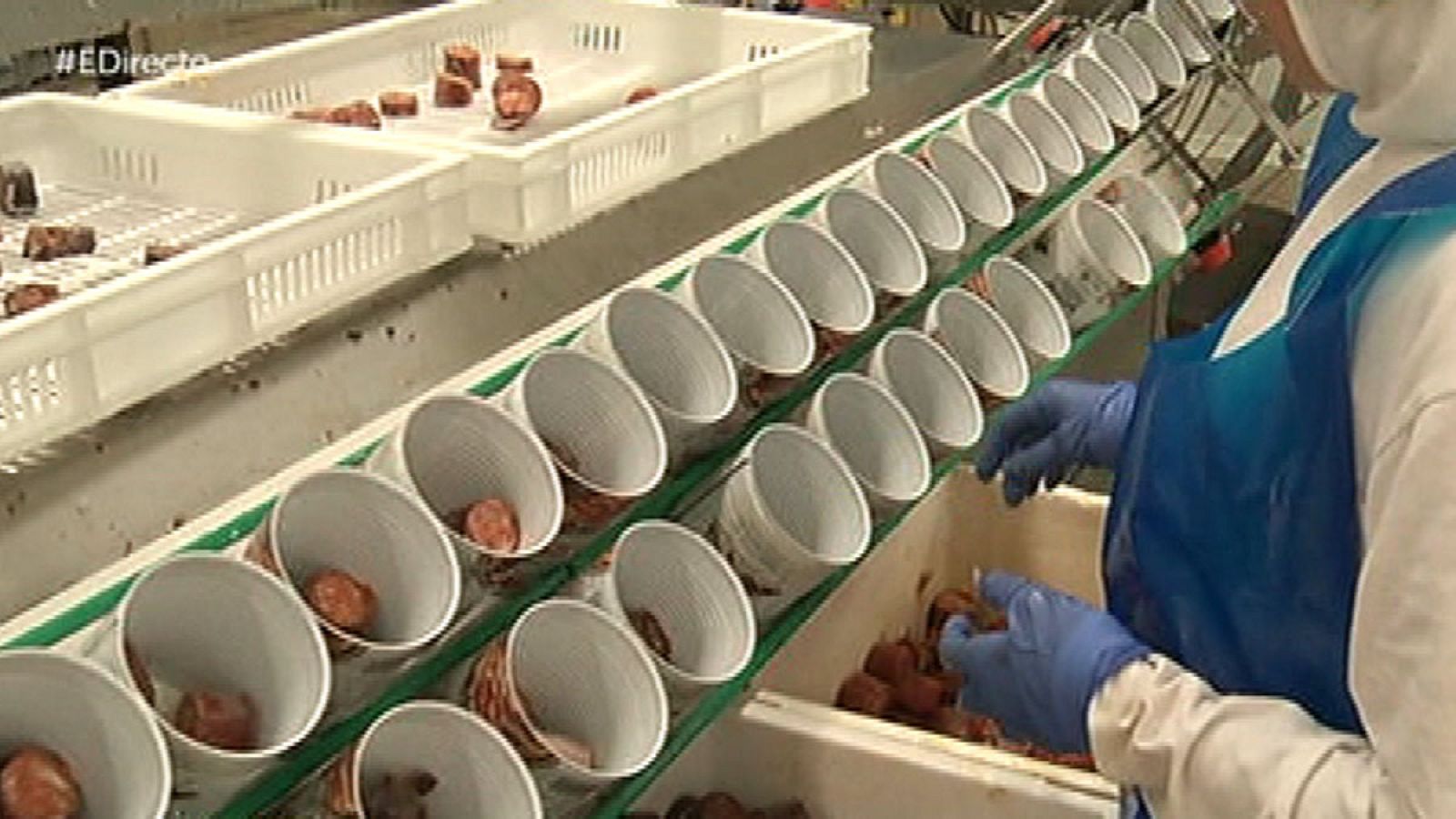 Fabricando fabada en lata