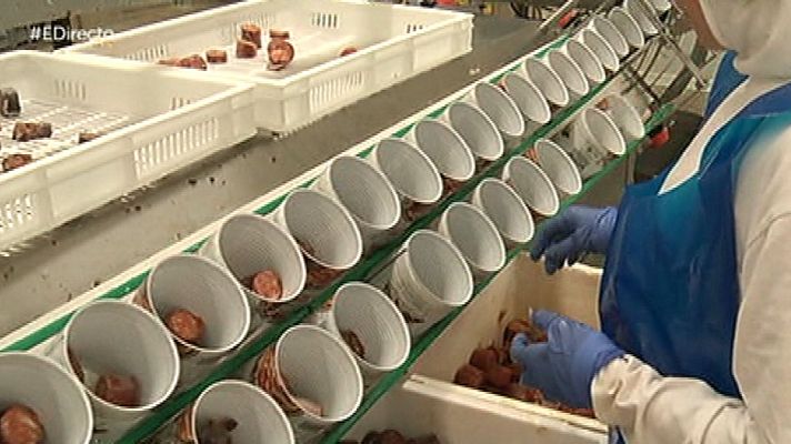 España Directo - Fabricando fabada en lata