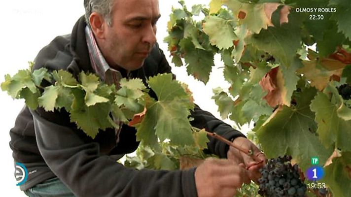 España Directo - España Directo - 26/09/16