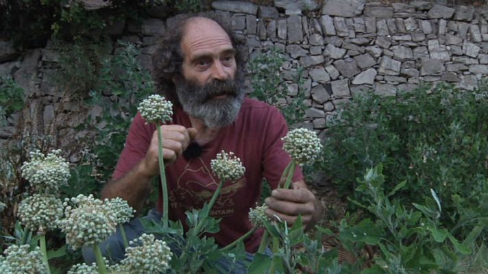 Aquí la Tierra - Esteve, el señor de los Bosques