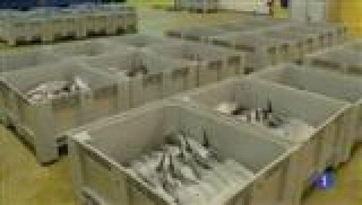 Panorama Regional - Panorama Regional 2 - 27/09/16