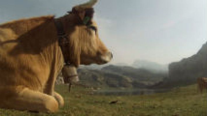 Aquí la Tierra - ¿Cuántos lagos son los Lagos de Covadonga?