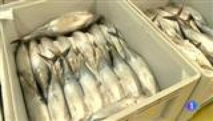 Panorama Regional - Panorama Regional - 28/09/16