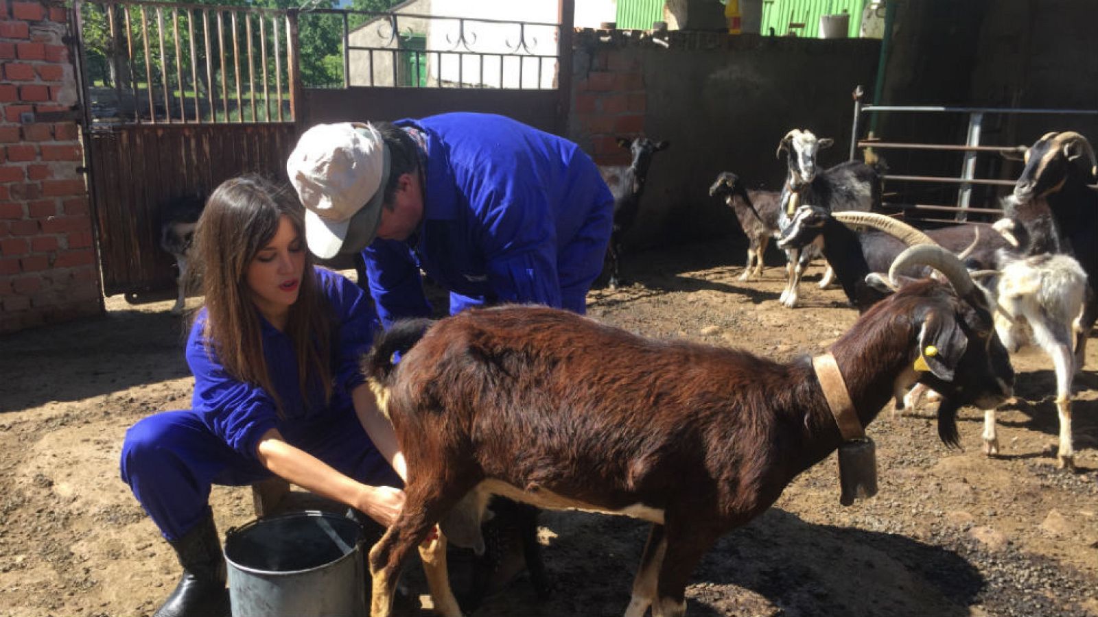 Adopta a Marta: de queso en queso