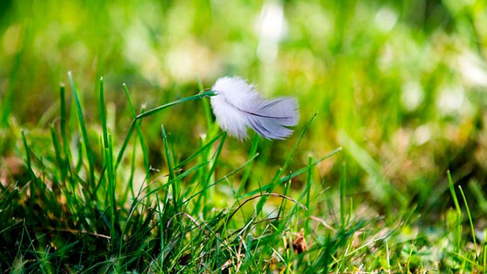 El tiempo - Lluvias persistentes en Comunidad Valenciana, Murcia y Almería