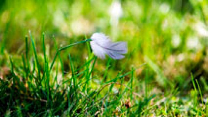 El tiempo - Lluvias persistentes en Comunidad Valenciana, Murcia y Almería