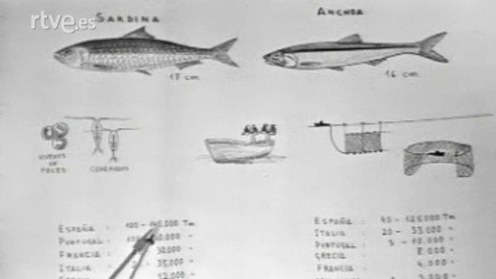 El planeta azul - La agonía del mar (IX)