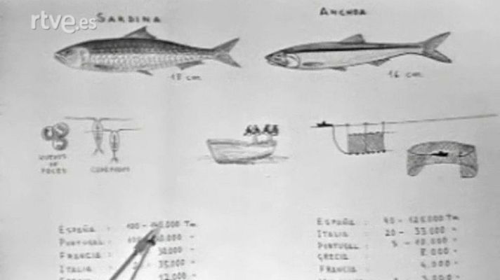 El planeta azul - La agonía del mar (IX)