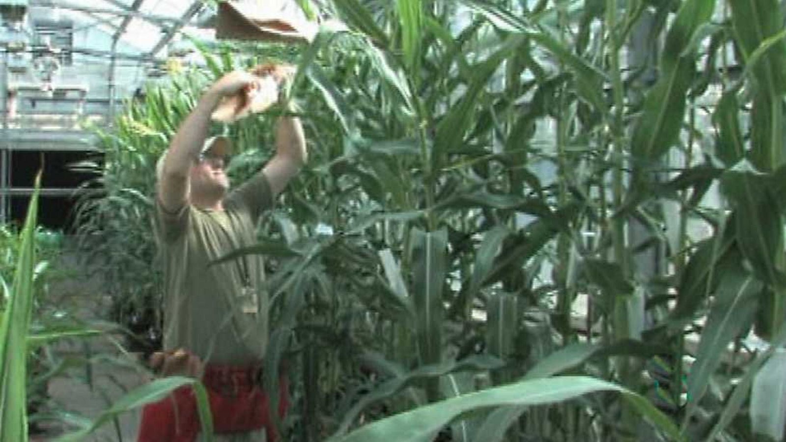 Agrosfera - 01/10/16 - ver ahora