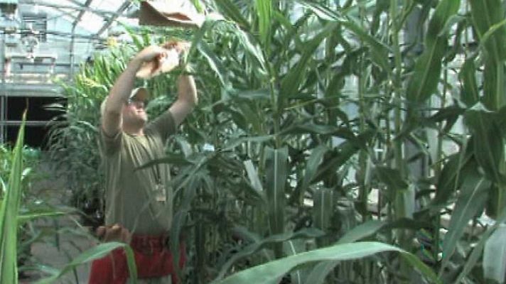 Agrosfera - Agrosfera - 01/10/16