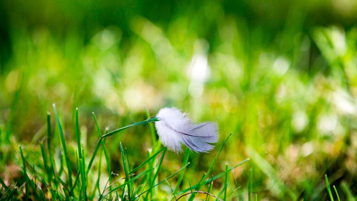 El tiempo - Chubascos fuertes en Cataluña y Pirineos y poco nuboso resto de España