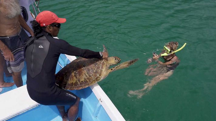 Héroes invisibles - Costa Rica