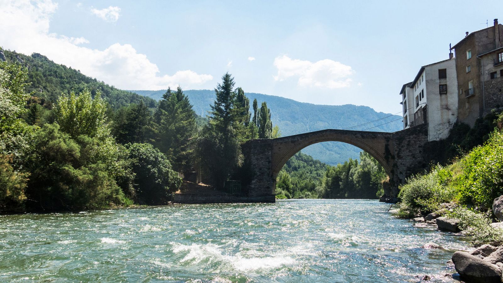 El bosque protector - Torrente Enseu - RTVE.es