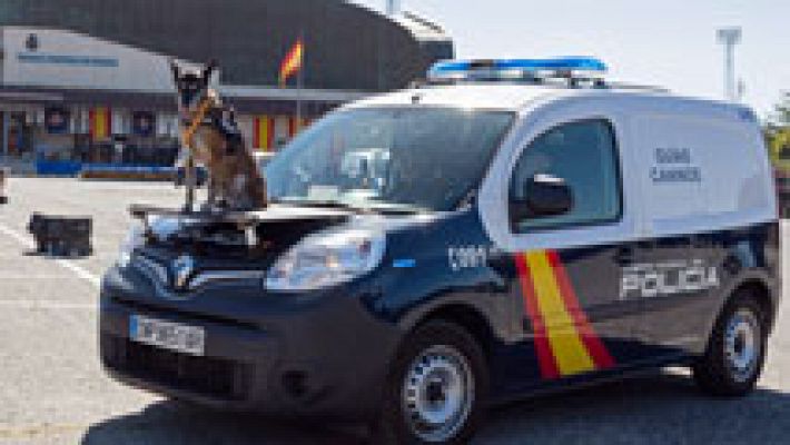 Telediario 1 - Héroes de cuatro patas