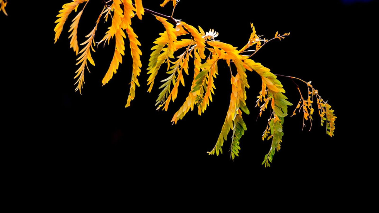 Poco nuboso o despejado en casi toda la Península