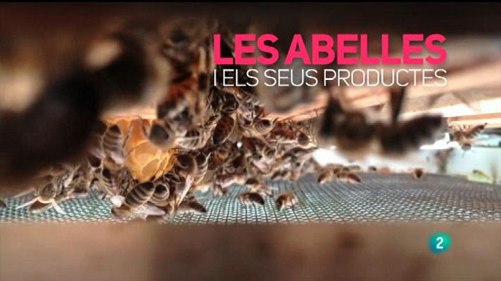 Amb identitat - La mel, un producte de grans propietats