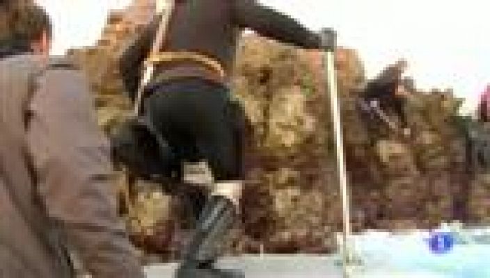 Panorama Regional - Panorama Regional 2 - 03/10/16