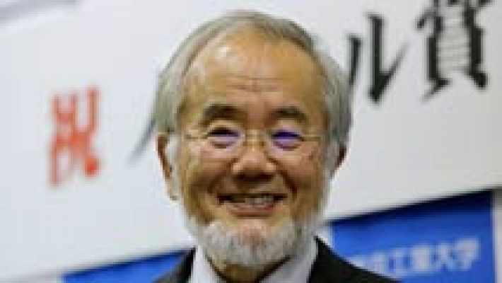 Telediario 1 - Yoshinori Ohsumi logra el Nobel de Medicina 2016 por descubrir el mecanismo de la autofagia
