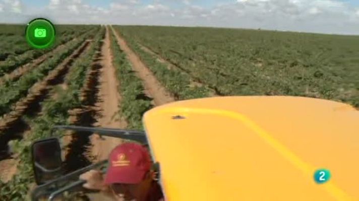 Agrosfera - Villarrobledo