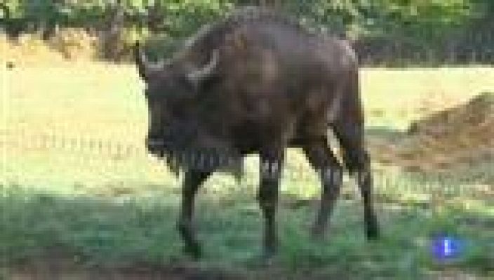 Panorama Regional - Panorama Regional 2 - 04/10/16