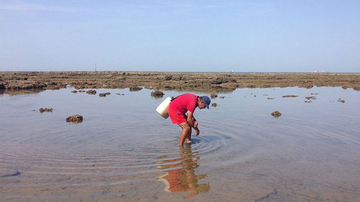 España Directo - Los corrales de Chipiona