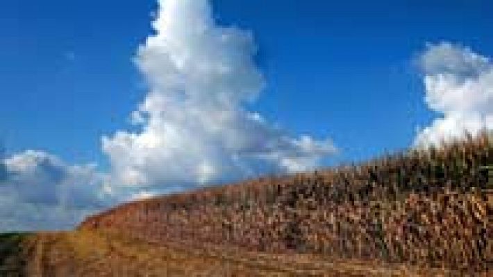 El tiempo - Temperaturas máximas en ascenso