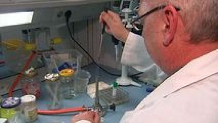 L'informatiu - Comunitat Valenciana - L'Informatiu - Comunitat Valenciana 2 - 05/10/16