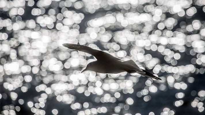 El tiempo - Siete provincias estarán en alerta por tormentas, lluvias y oleaje