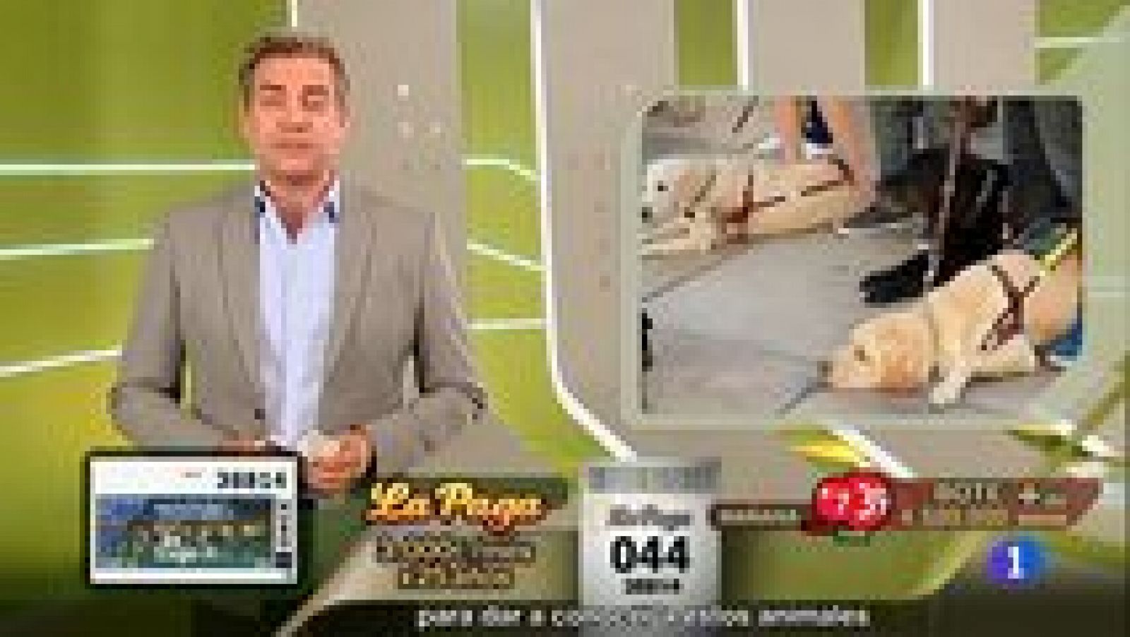 Sorteos ONCE: Sorteo ONCE - 05/10/16 | RTVE Play