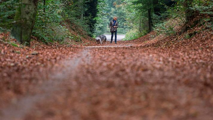El tiempo - Descenso generalizado de las temperaturas
