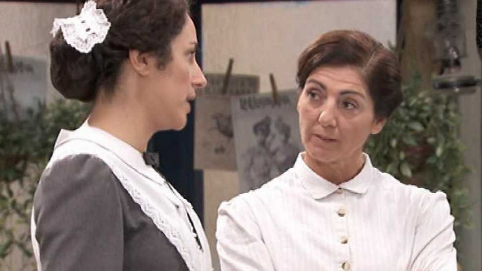 Acacias 38 - Capítulo 369 - ver ahora