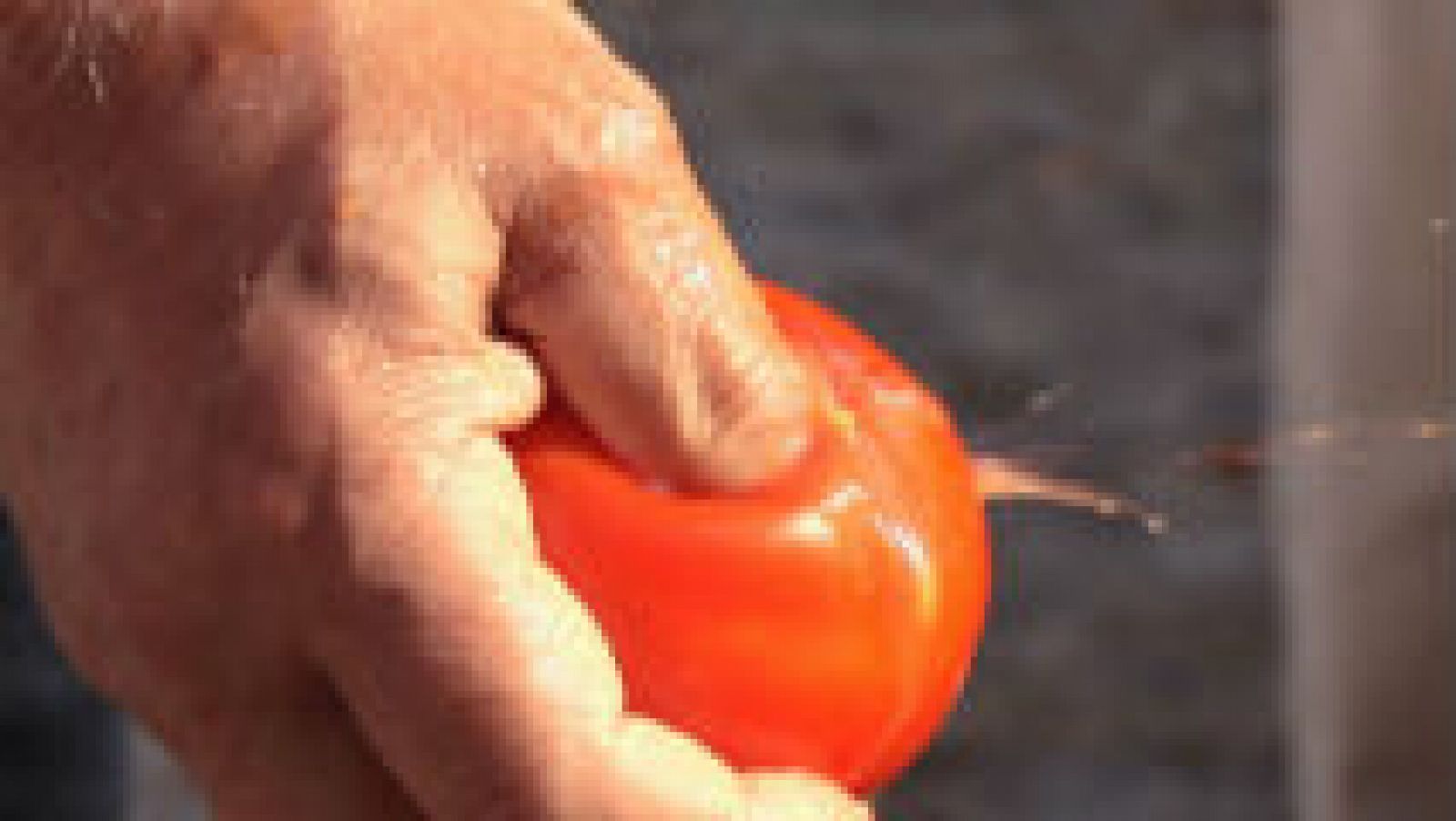 Lo que no sabías de la tomatina