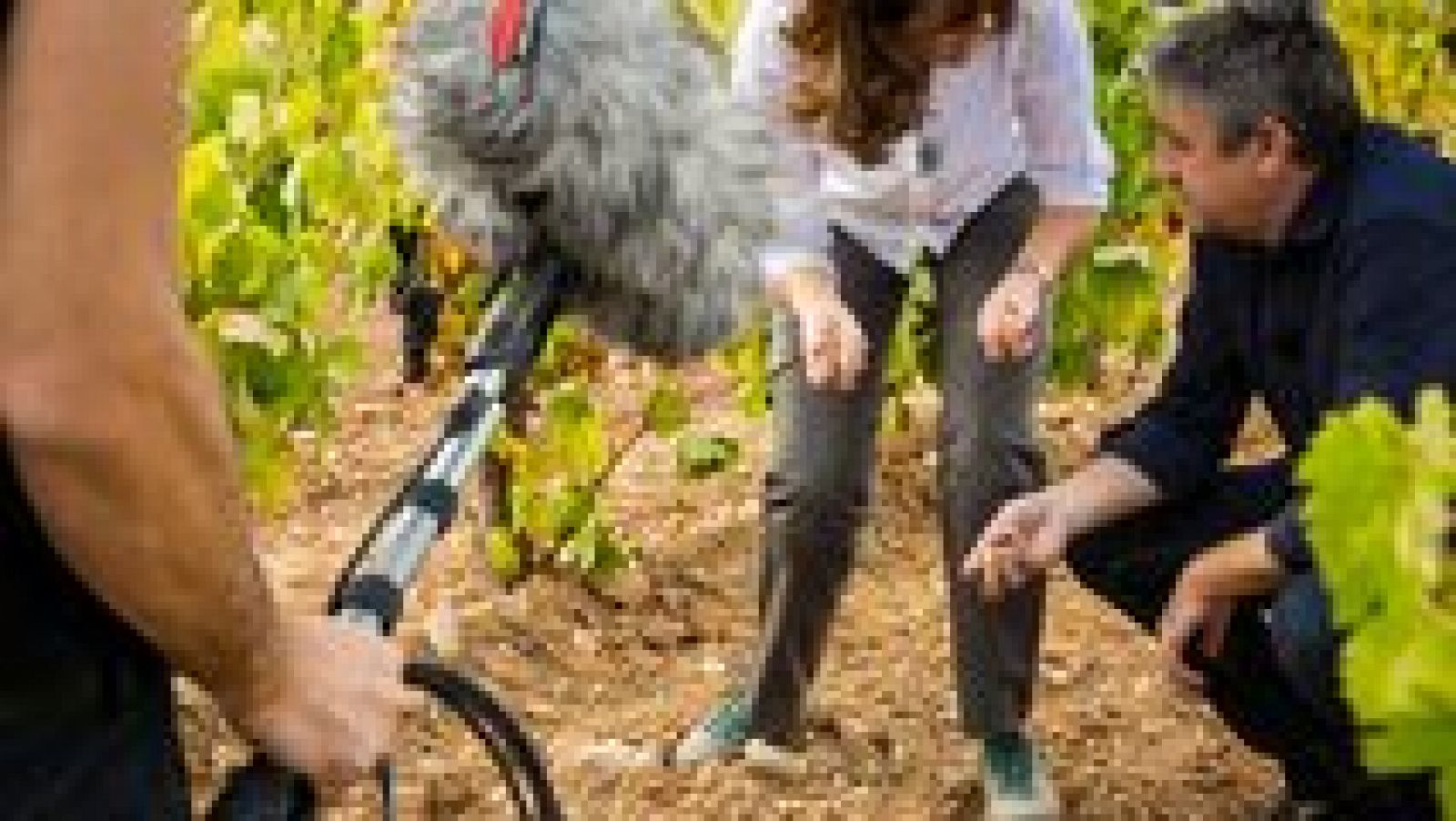 Aquí la tierra - 07/10/16 - escuchar ahora