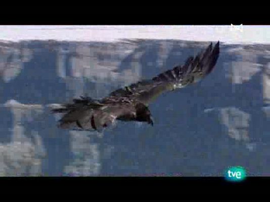  - Un paseo por la Naturaleza