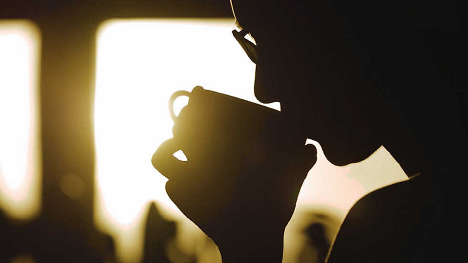 El cazador de cerebros - Nutrición personalizada - ver ahora