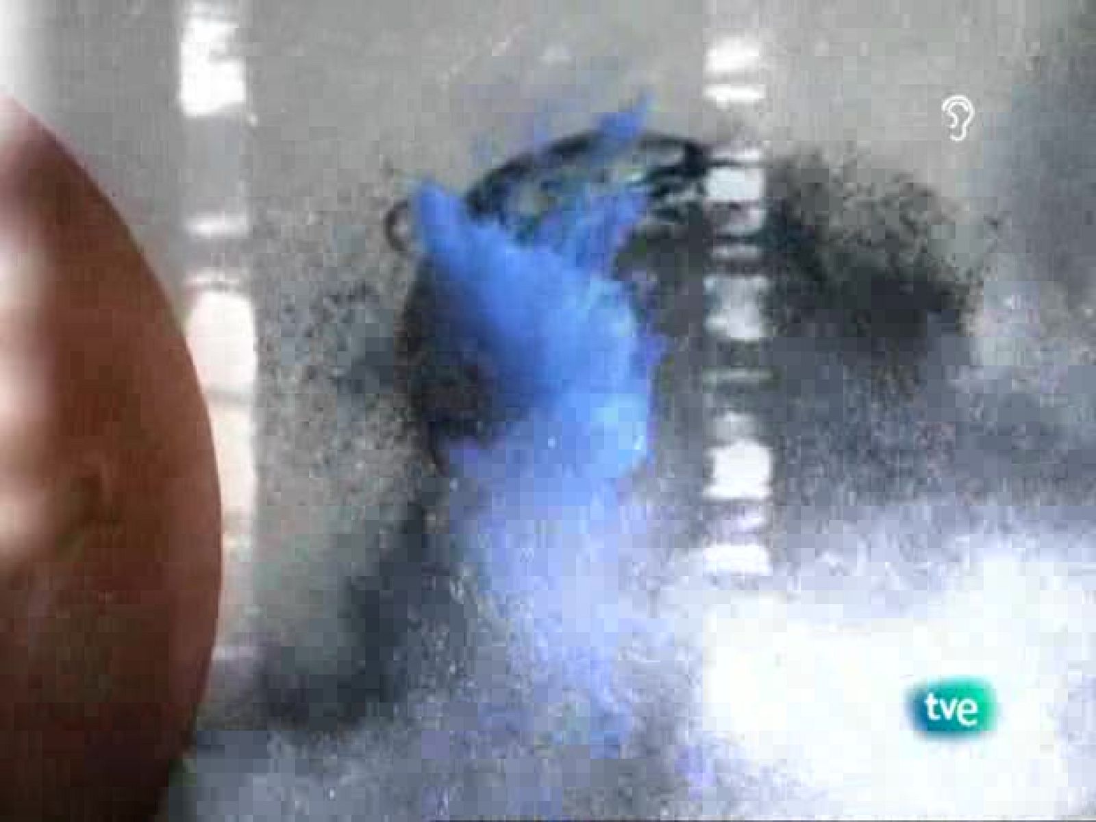 tres14 - Meteoritos - tres14 | Ver